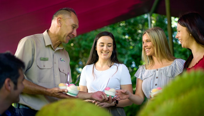 Daintree National Park