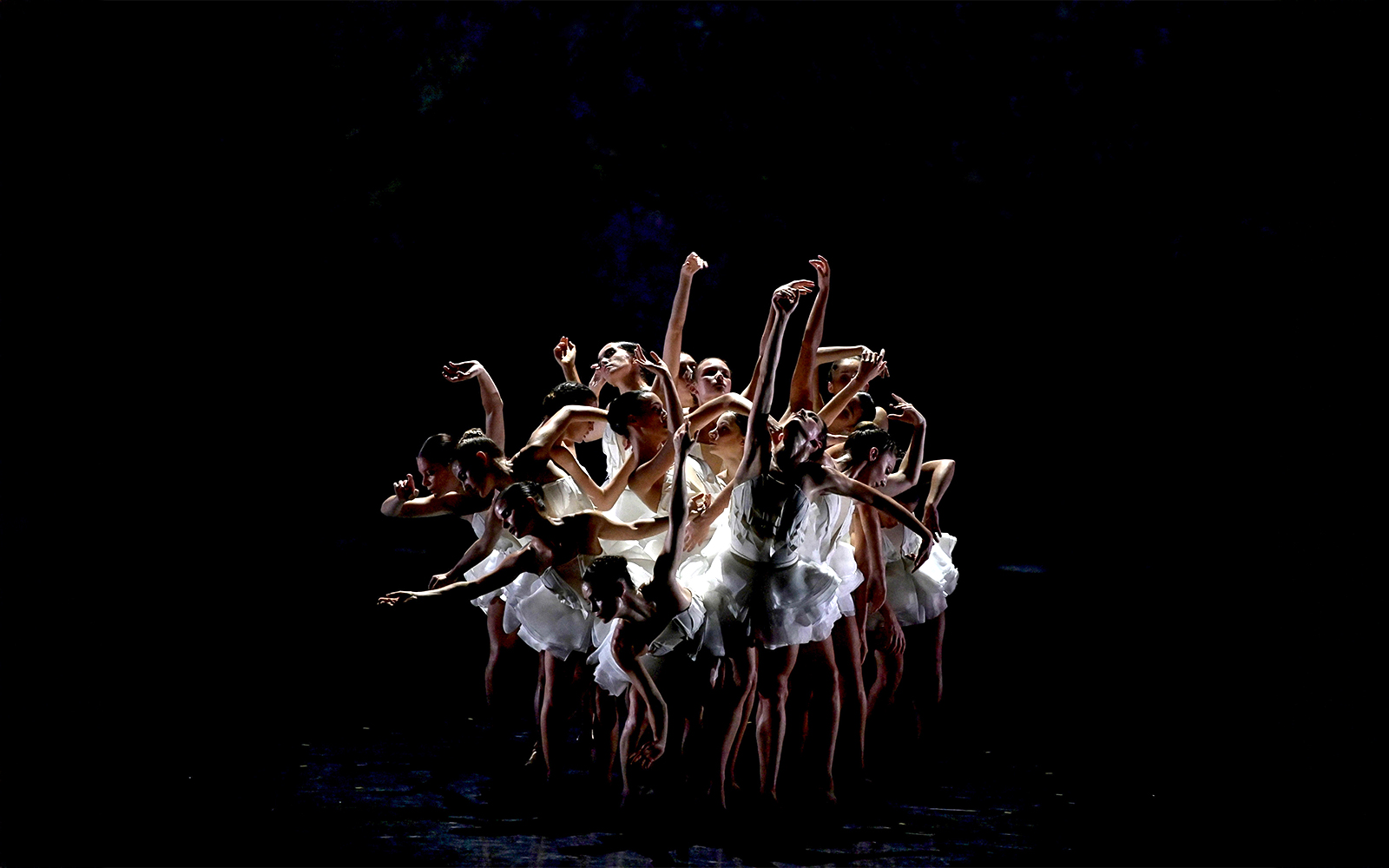 Dancers performing Ballet Preljocaj's Swan Lake in a dramatic group pose.