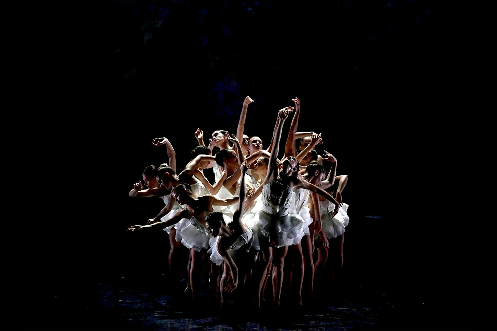 Dancers performing Ballet Preljocaj's Swan Lake in a dramatic group pose.