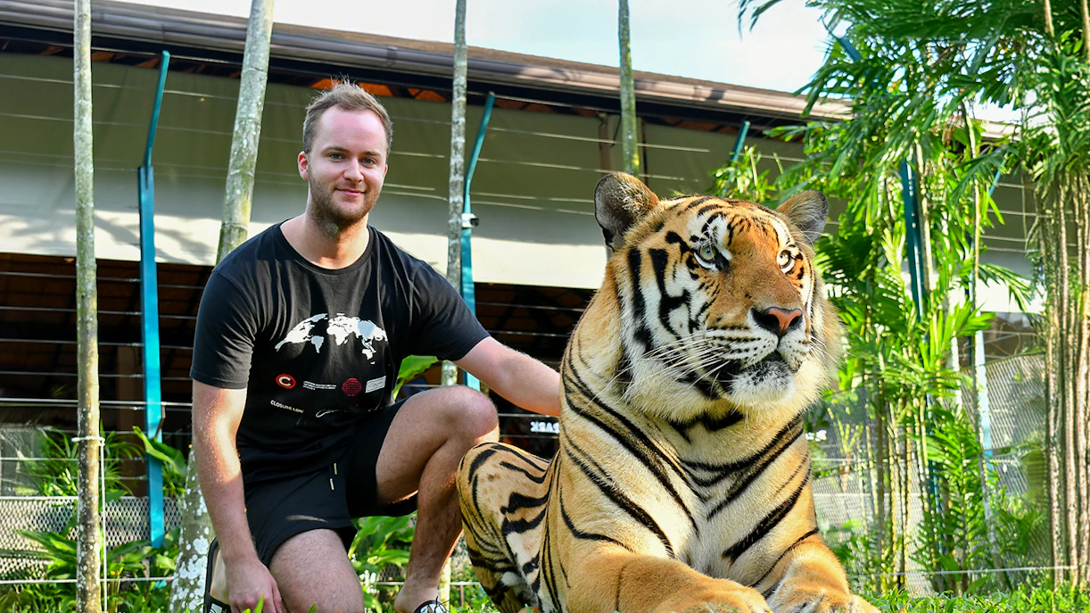 Non-Thai tourist with tiger at Tiger Park Pattaya.