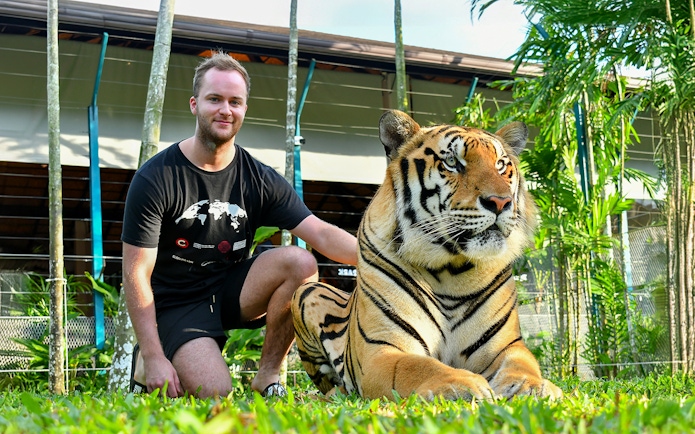 Non-Thai tourist with tiger at Tiger Park Pattaya.