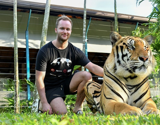 Tiger Park Tickets with Tiger Interactions