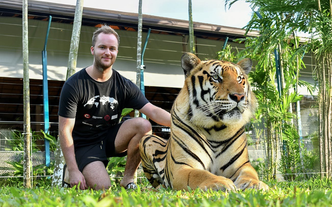 Non-Thai tourist with tiger at Tiger Park Pattaya.