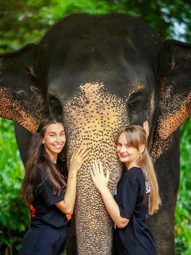 Women interacting with an elephant at Elephant Jungle Sanctuary, Phuket, Thailand.