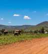 Pilanesberg National Park
