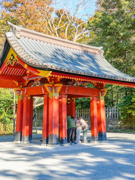 Red torii gate surrounded by trees on Mount Fuji, part of Lake Ashi & Big Buddha Day Tour.