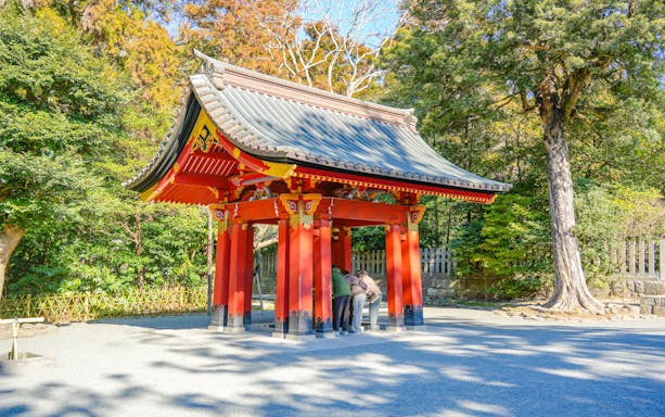 Red torii gate surrounded by trees on Mount Fuji, part of Lake Ashi & Big Buddha Day Tour.