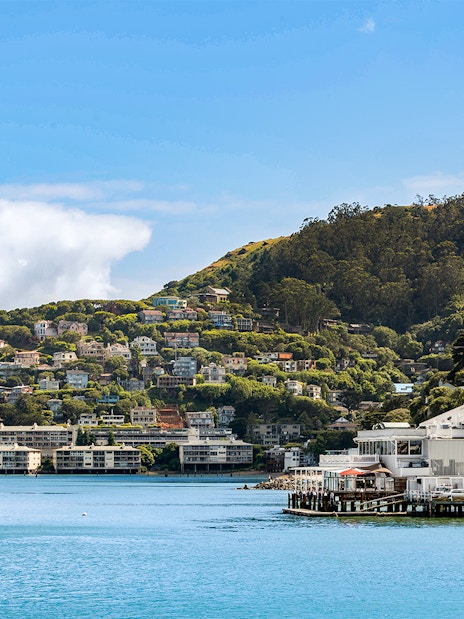 Sausalito Bay Area with hillside homes and partial view of Golden Gate Bridge, San Francisco, California.