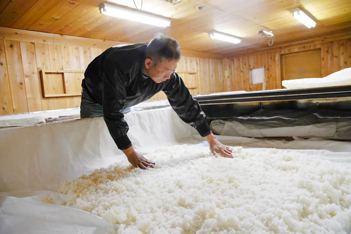 fukui: kitazen shoten sake fabrikası turu ve tadım etkinliği-1