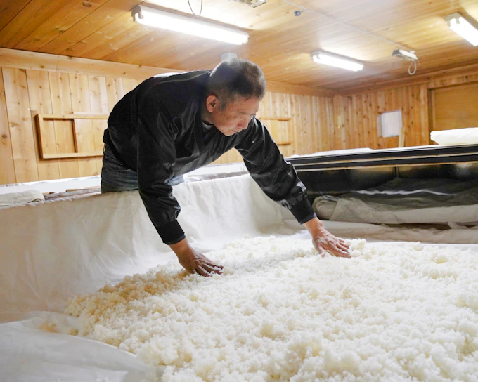 Fukui: Kitazen Shoten Sake Brewery Tour and Tasting (Product 52514)