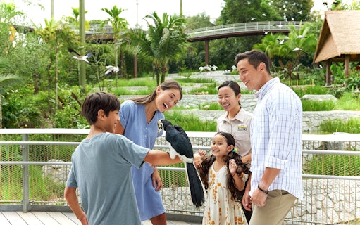 Family enjoying a close encounter with a bird during a VIP walking tour at Bird Paradise.