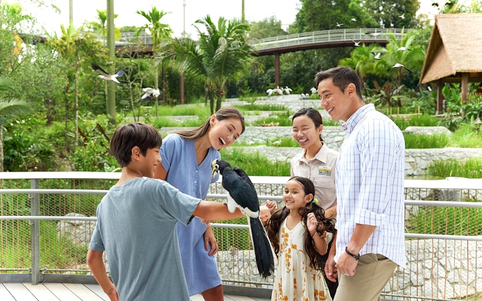 Family enjoying a close encounter with a bird during a VIP walking tour at Bird Paradise.