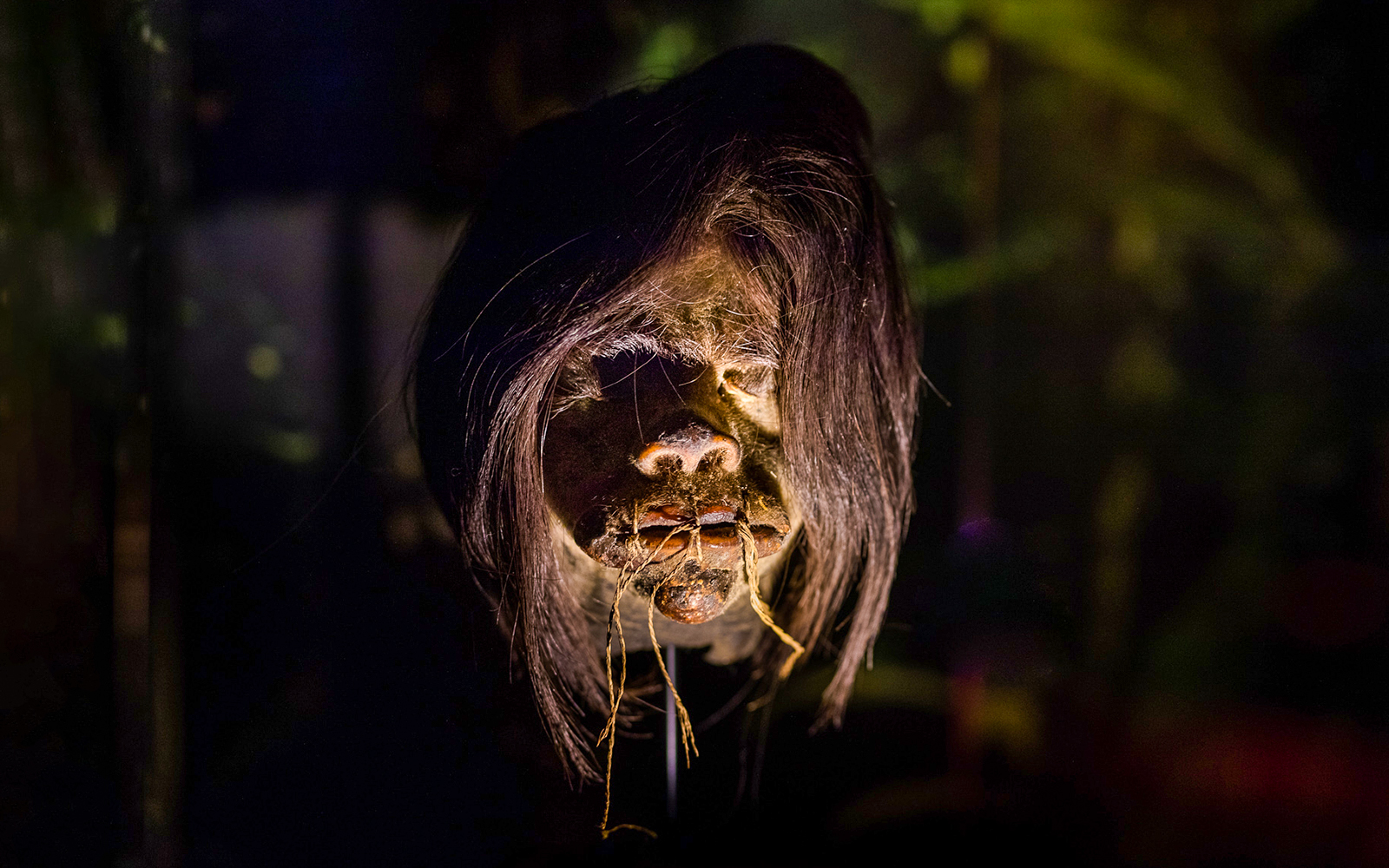 Ripleys Believe it or not Amsterdam - Shrunken Heads