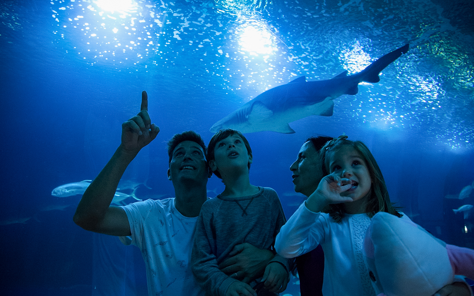 Family at the Oceanogràfic oceanarium in Valencia, Spain