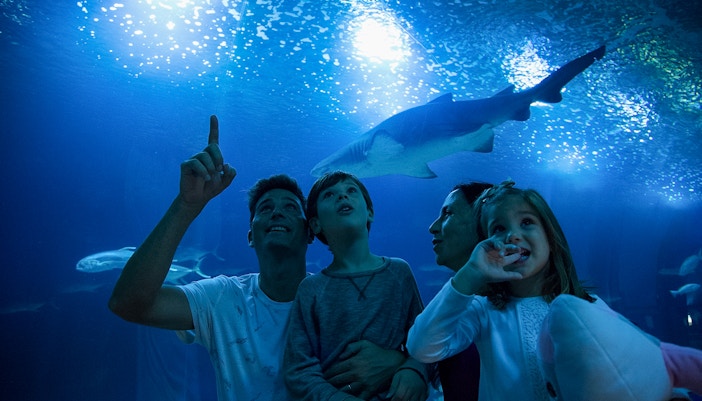 Family at the Oceanogràfic oceanarium in Valencia, Spain