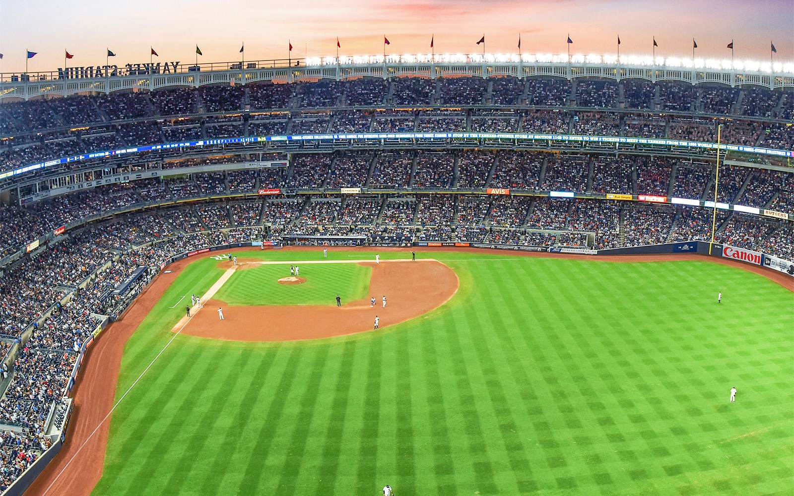 The stadium