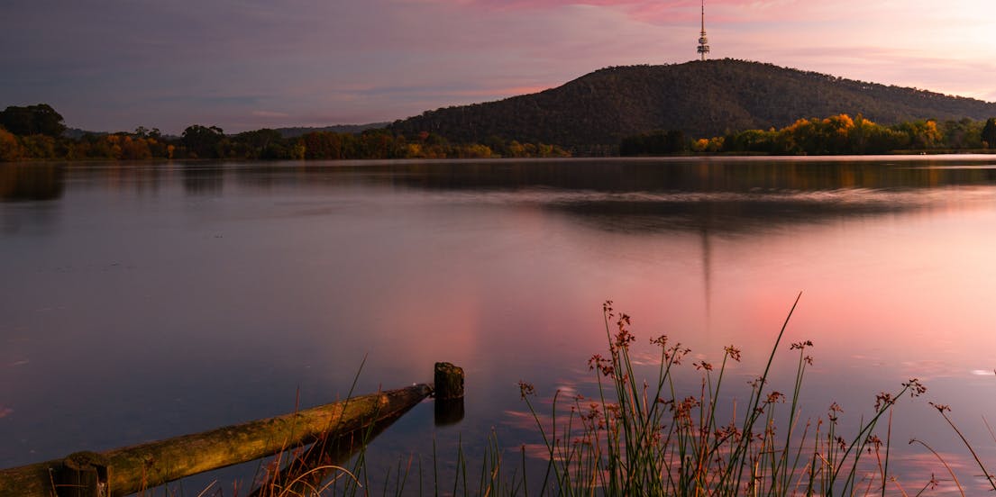 のベストを見つけよう Canberra