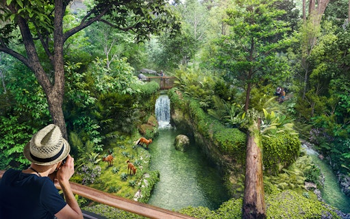 Tourists photographing wildlife near a waterfall in Rainforest Wild Asia.