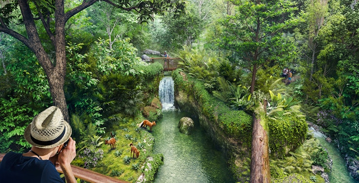 Singapore Rainforest Wild Asia exhibit with lush greenery and diverse wildlife.