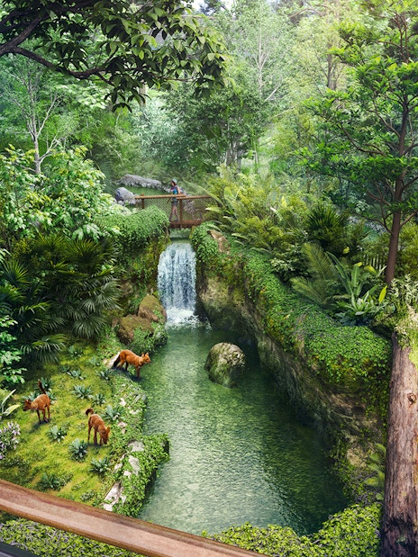 Tourists photographing wildlife near a waterfall in Rainforest Wild Asia.
