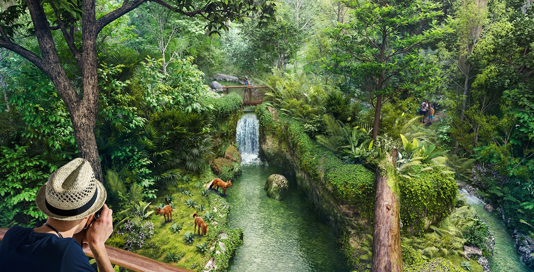 Singapore Rainforest Wild Asia exhibit with lush greenery and diverse wildlife.