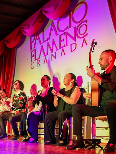 Flamenco dancer performing at Palacio de los Olvidados, Granada, with musicians and audience.