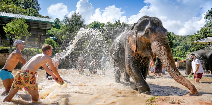 Tourists bathing elephants at Elephant Jungle Sanctuary, Chiang Mai.