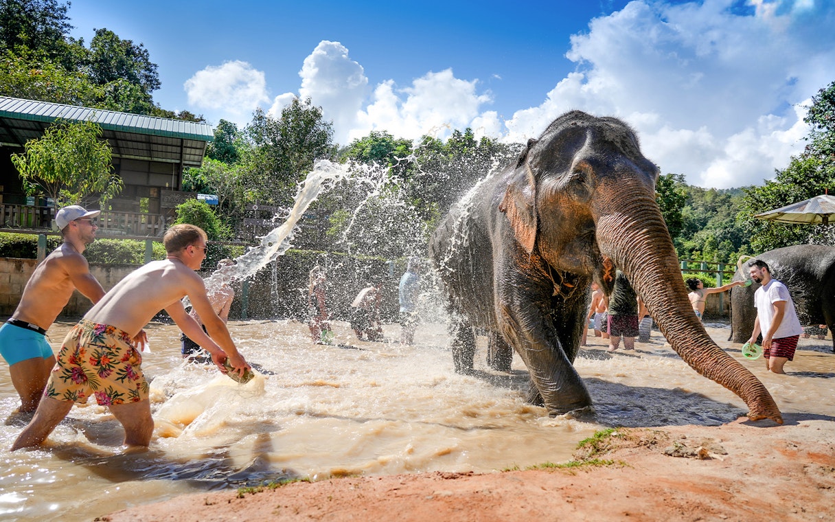 Tourists bathing elephants at Elephant Jungle Sanctuary, Chiang Mai.