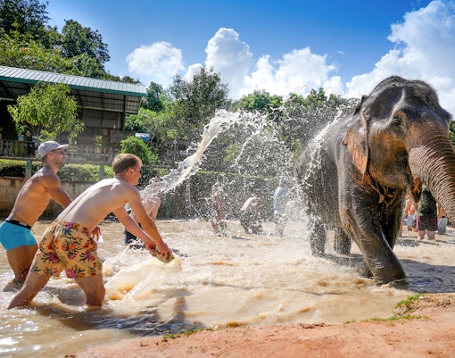 Tourists bathing elephants at Elephant Jungle Sanctuary, Chiang Mai.
