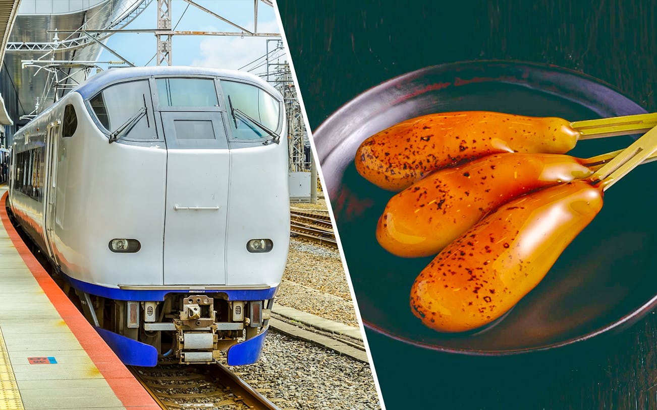 JR Haruka Airport Express train at station and skewered grilled snacks on plate.