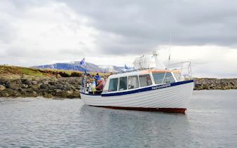 Puffin watching boat near rocky shore with passengers, Iceland flag visible.