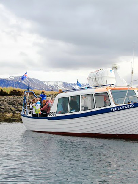 Puffin watching boat near rocky shore with passengers, Iceland flag visible.