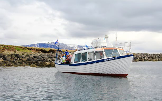 Puffin watching boat near rocky shore with passengers, Iceland flag visible.