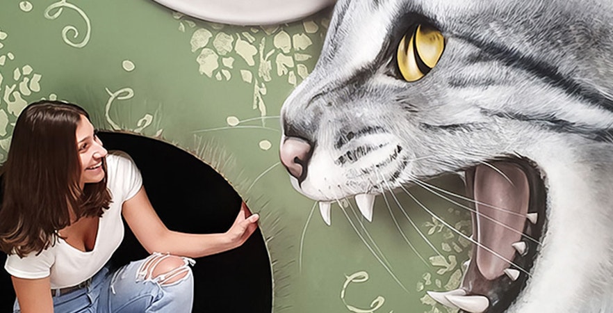 Museum of Fantastic Illusions