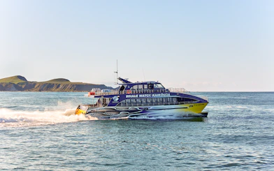 Whale watching boat cruising in Kaikoura with scenic coastal backdrop.