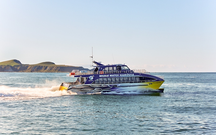 Whale watching boat cruising in Kaikoura with scenic coastal backdrop.
