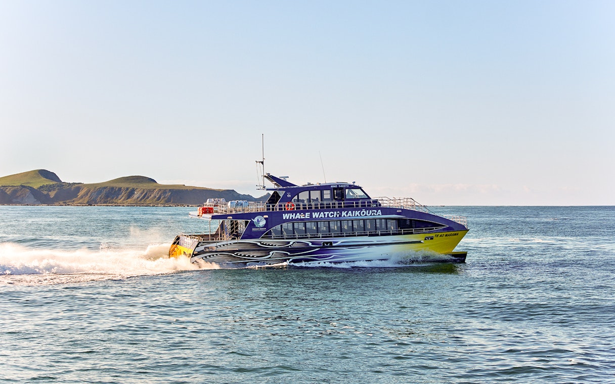 Whale watching boat cruising in Kaikoura with scenic coastal backdrop.