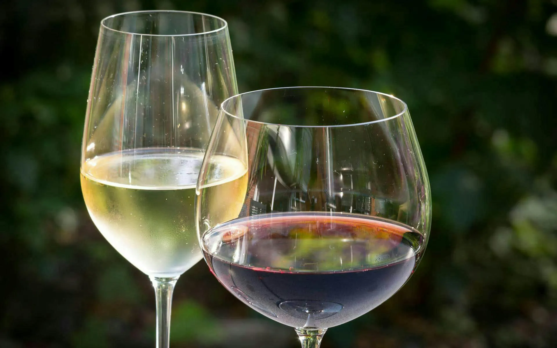 Two glasses of wine at a Majorca winery estate.