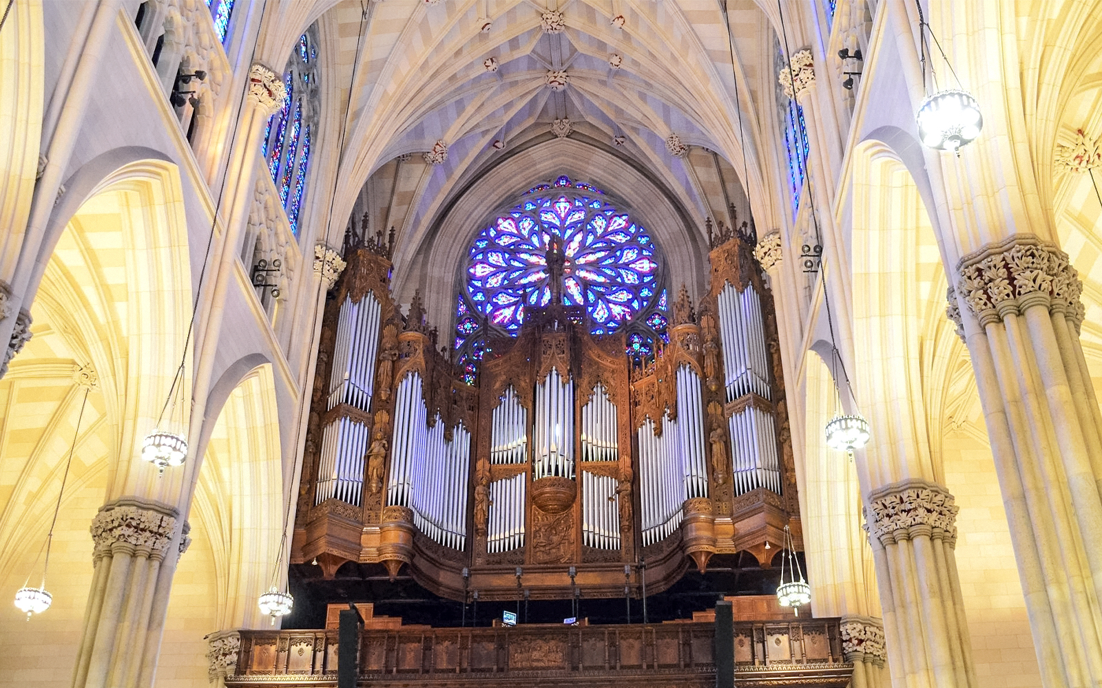 St. Patrick's Cathedral interior with ornate organ and stained glass window.