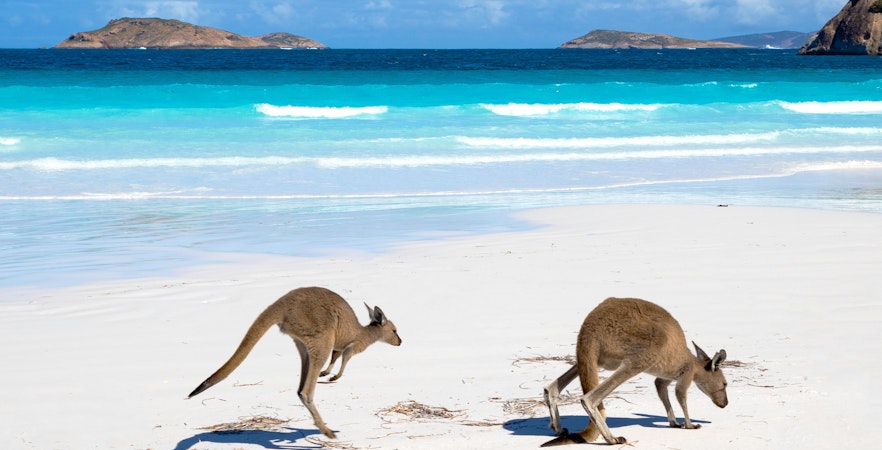Tours em Kangaroo Island