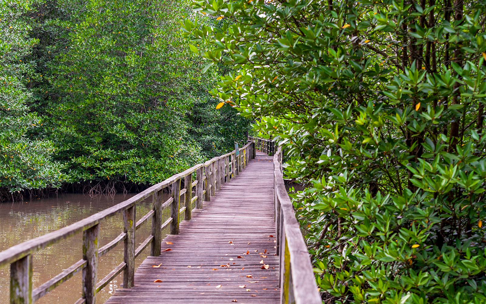 Payah Indah Discovery Wetlands