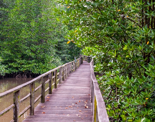 Payah Indah Discovery Wetlands