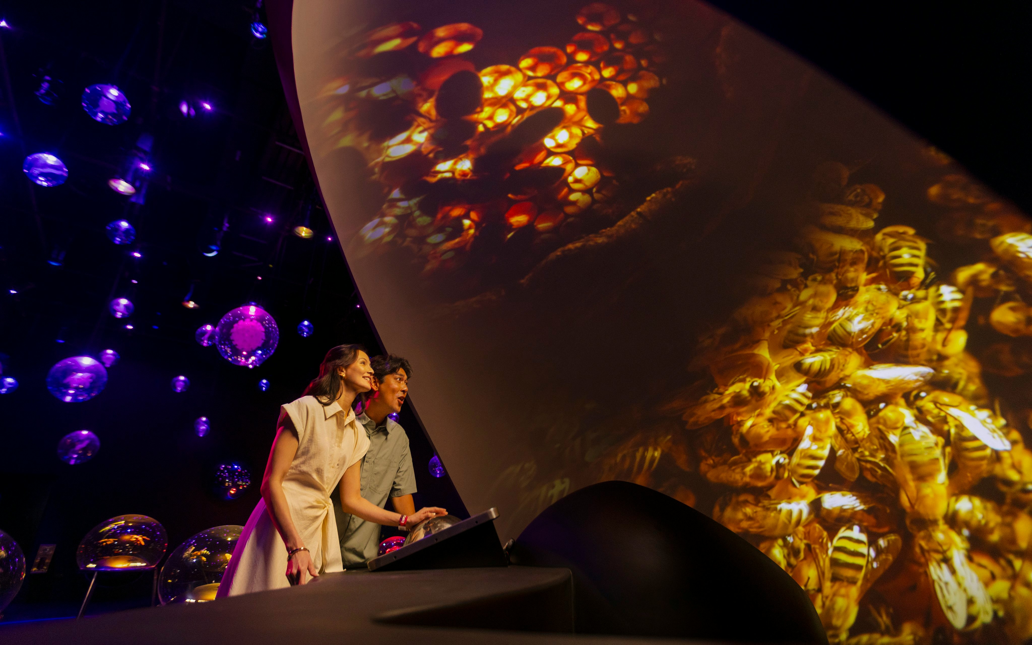 Visitors interacting with a projection dome displaying bees at Exploria, Mandai Wildlife.