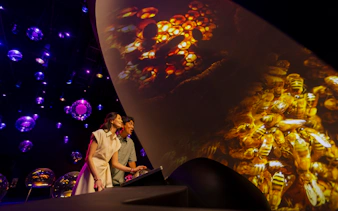 Visitors interacting with a projection dome displaying bees at Exploria, Mandai Wildlife.