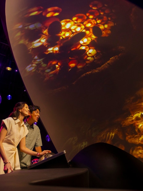 Visitors interacting with a projection dome displaying bees at Exploria, Mandai Wildlife.