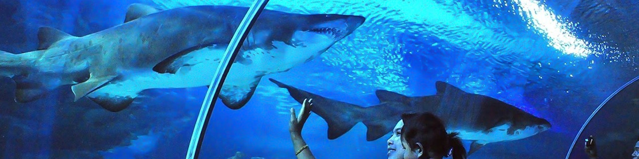 acquario kuala lumpur