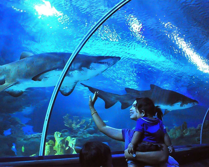 Aquaria KLCC Tickets
