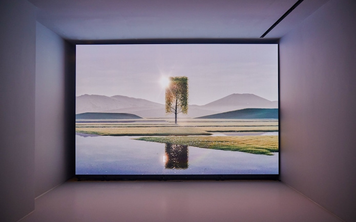 Art installation of a tree with a mirrored reflection at Moco Museum London.