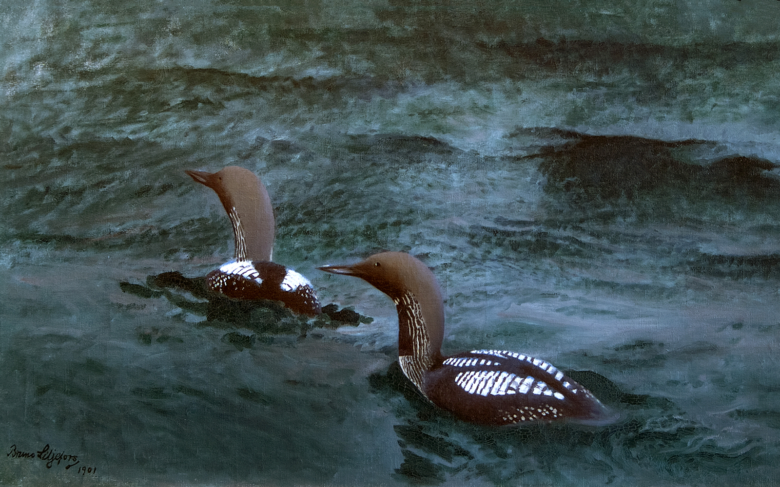 Two birds swimming in water, artwork by Bruno Liljefors at Petit Palais exhibition.