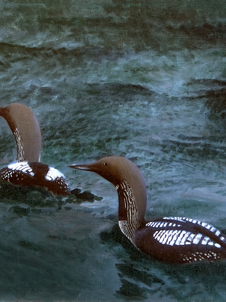Two birds swimming in water, artwork by Bruno Liljefors at Petit Palais exhibition.